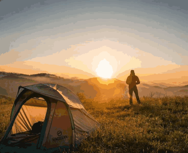 1711954266246084875.png image.png